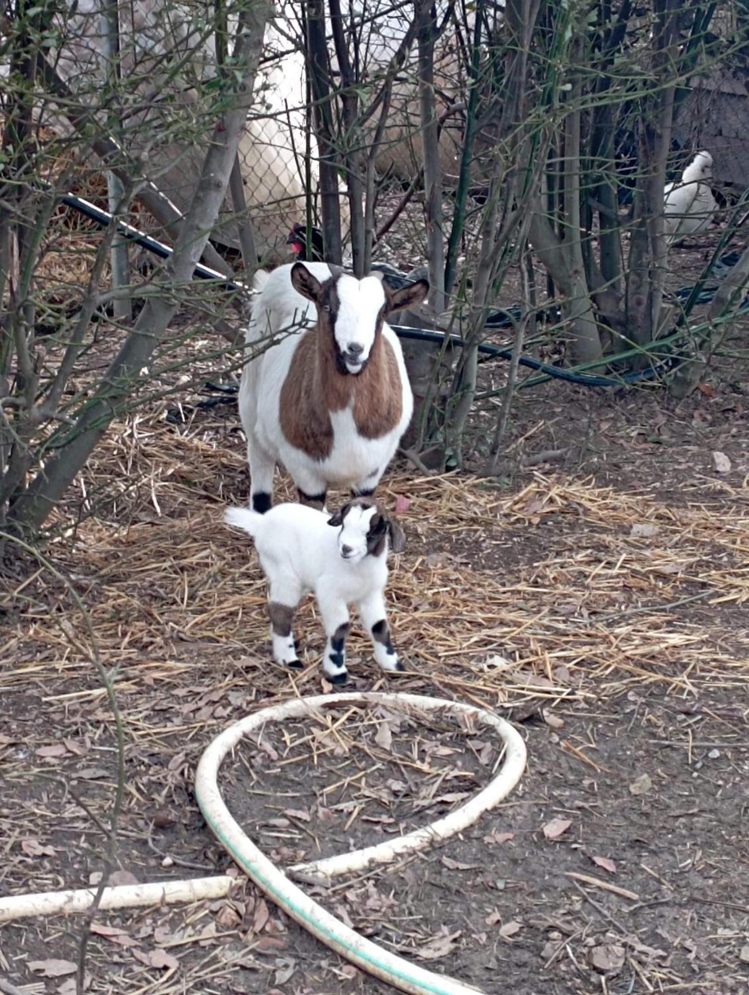 Agriturismo Lungo Albegna マンチャーノ エクステリア 写真