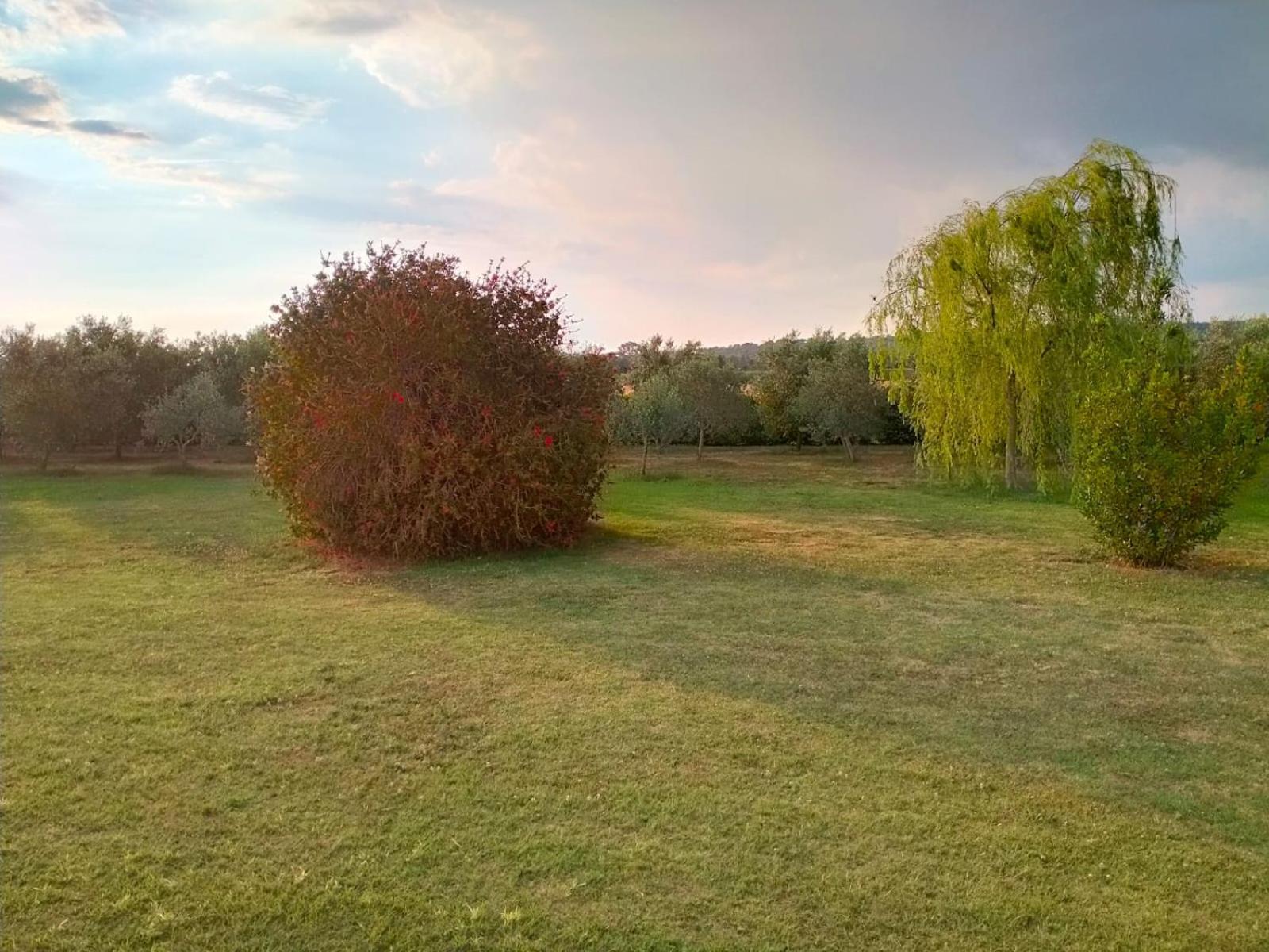 Agriturismo Lungo Albegna マンチャーノ エクステリア 写真