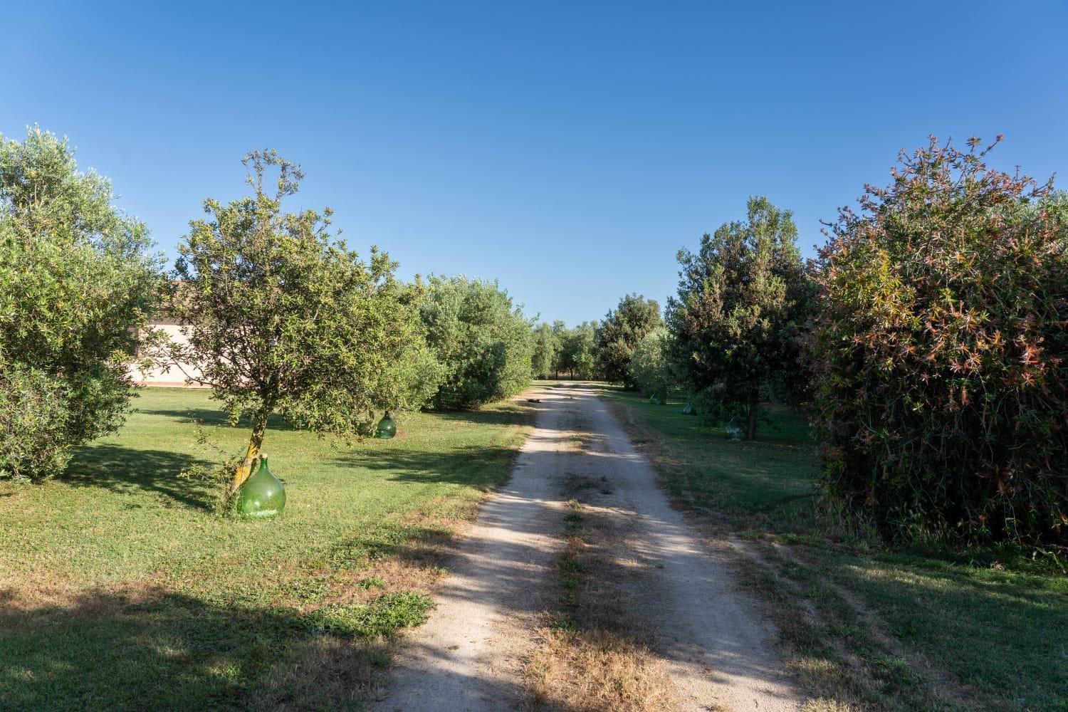 Agriturismo Lungo Albegna マンチャーノ エクステリア 写真